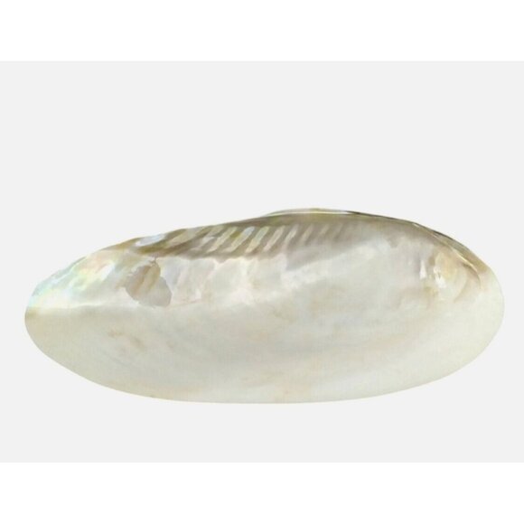 Caviar Server Natural  Iridescence Mother Of Pearl Shell Footed Base Design - Picture 5 of 6